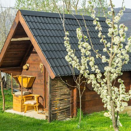 Villa Djurdjevina Family Farm Kolašin Exterior foto