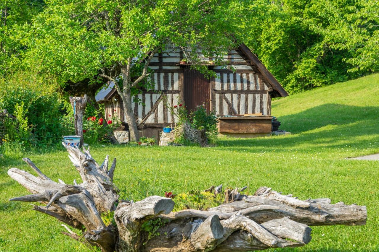 Villa Djurdjevina Family Farm Kolašin Exterior foto