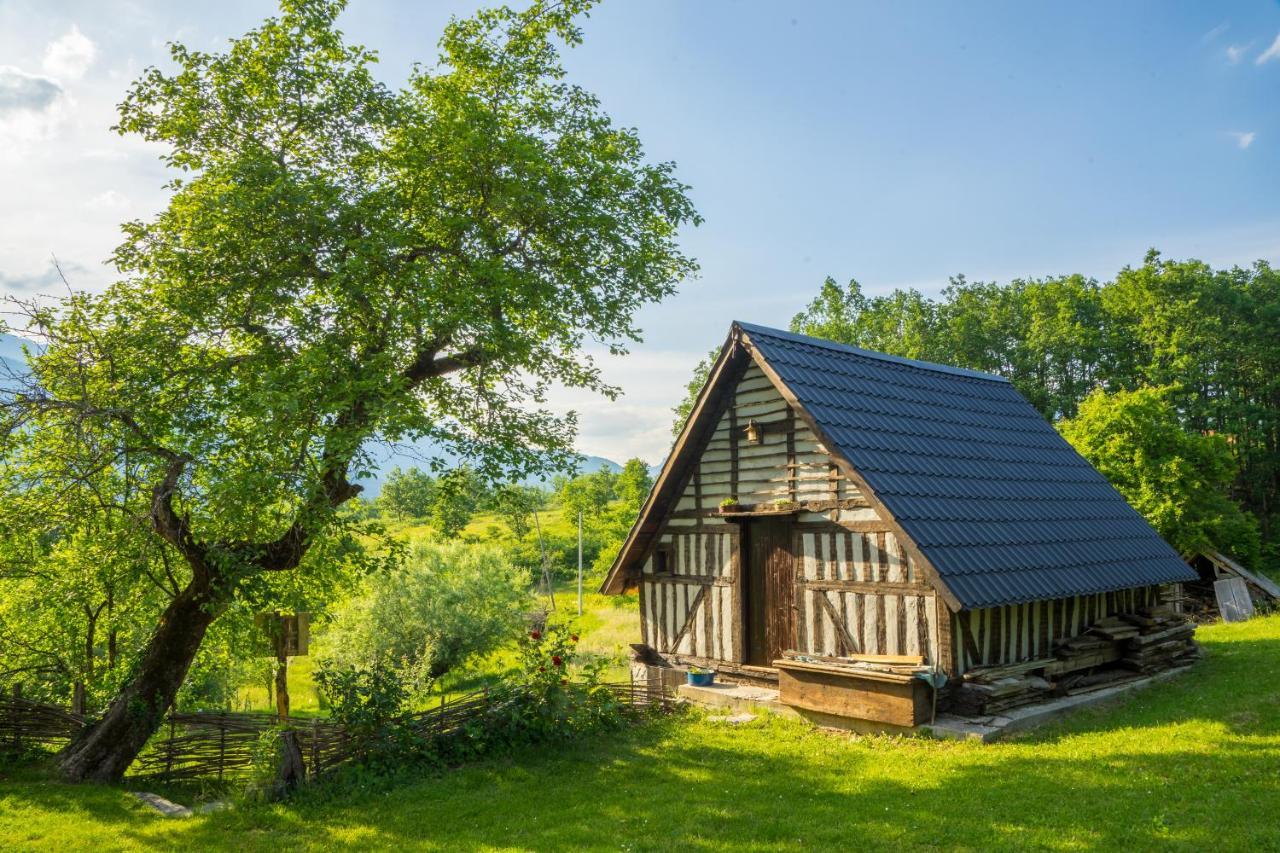 Villa Djurdjevina Family Farm Kolašin Exterior foto