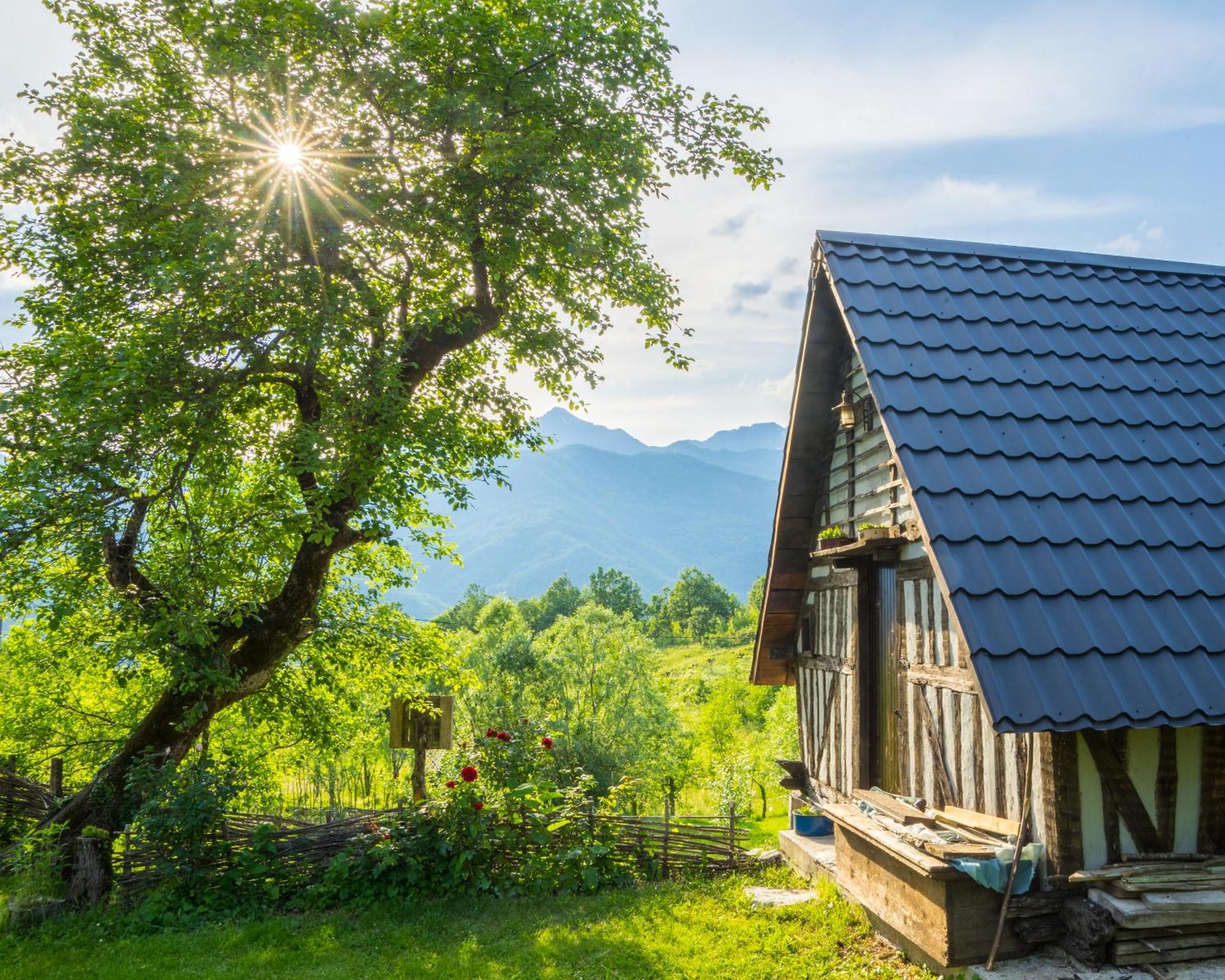 Villa Djurdjevina Family Farm Kolašin Zimmer foto